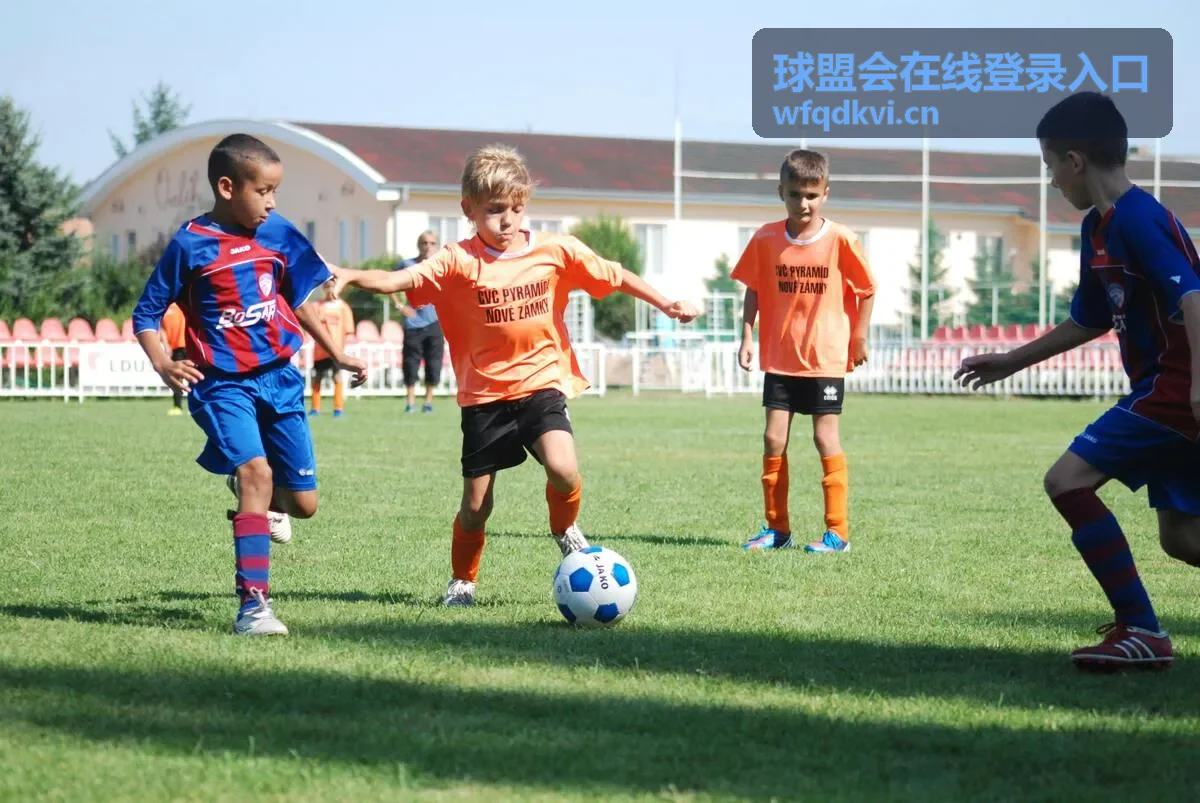 球盟会在线登录入口常见问题与故障排查说明